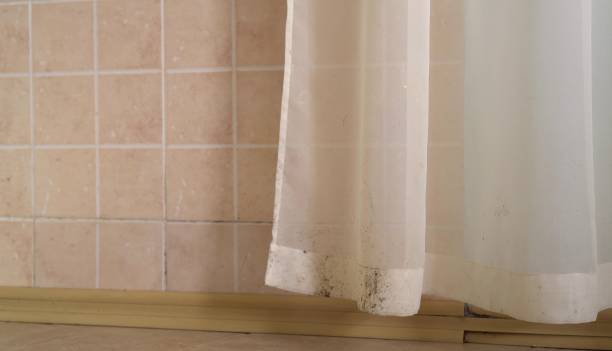 Best Mold Removal for HVAC Installations  in Marine City, MI