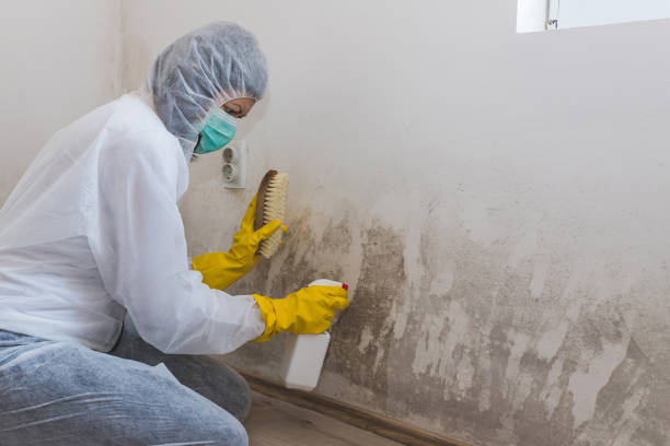 Best Airborne Mold Testing  in Marine City, MI