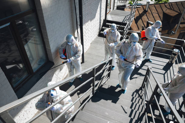Best Attic Mold Removal  in Marine City, MI