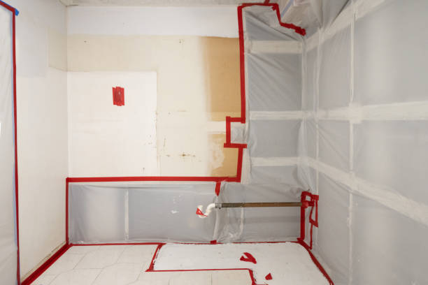 Best Mold Removal for HVAC Installations  in Marine City, MI