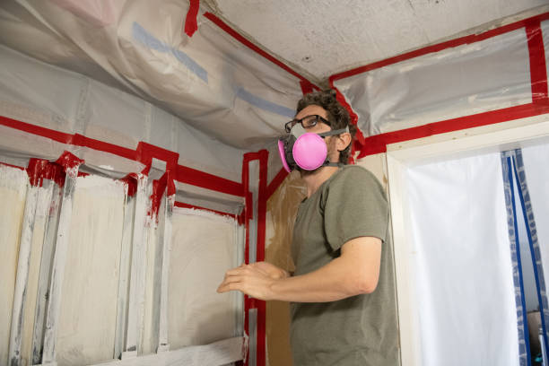 Best Residential Mold Inspection & Testing  in Marine City, MI
