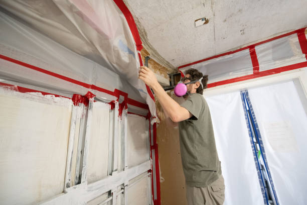 Best Asbestos and Lead Testing During Mold Inspection  in Marine City, MI