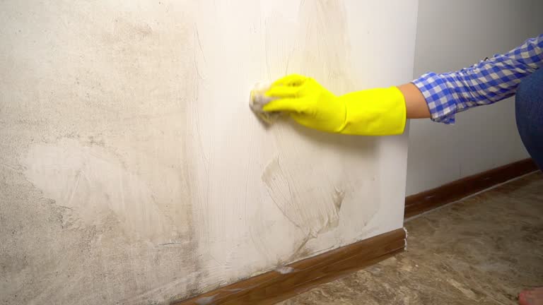 Best HVAC Mold Inspection and Cleaning  in Marine City, MI