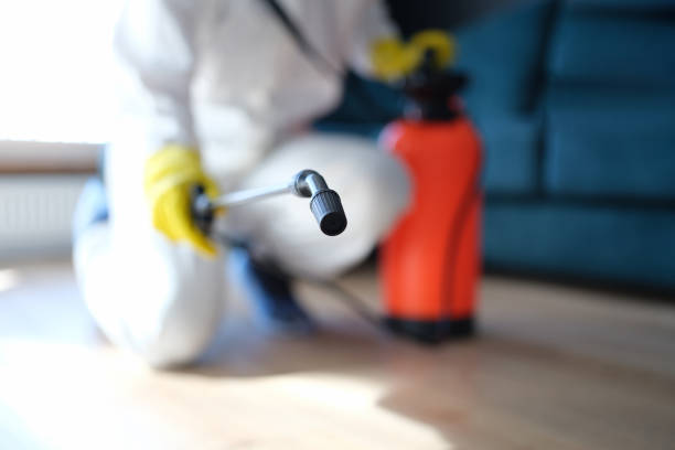 Best Post-Construction Mold Inspection  in Marine City, MI